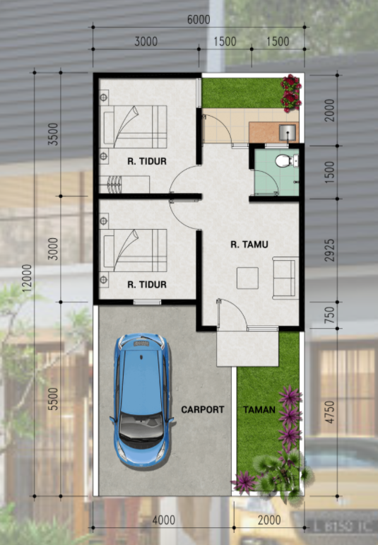 Layout Jawa